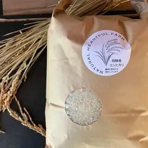 農薬・肥料不使用の自然栽培米＜奥飛騨産こしひかり＞ハザがけ天日干しの口コミ・レビュー(柿茶人さん)