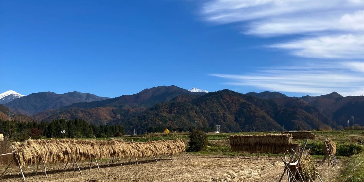 natural heartful farmロゴ