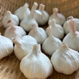 サイズバラエティ500g