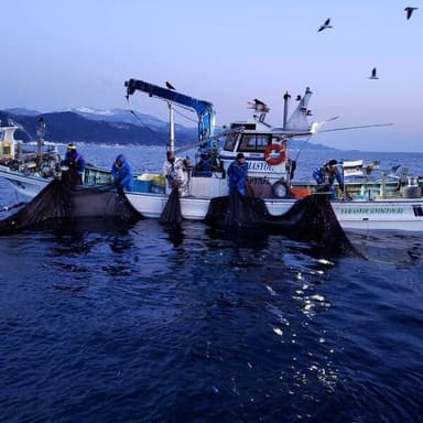 株式会社日本魚類について