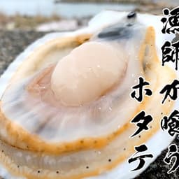 【予約販売】これが本物！漁師が喰うホタテ【1kg】【3kg】【５㎏】ヘラ付
