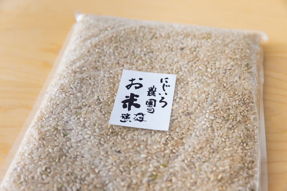 丹波篠山コシヒカリ令和7年産＜白米・玄米＞農薬・化学肥料不使用