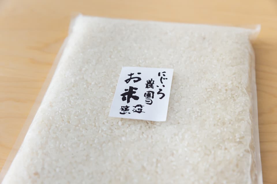 丹波篠山コシヒカリ令和7年産＜白米・玄米＞農薬・化学肥料不使用