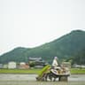丹波篠山にじいろ農園のアイコン