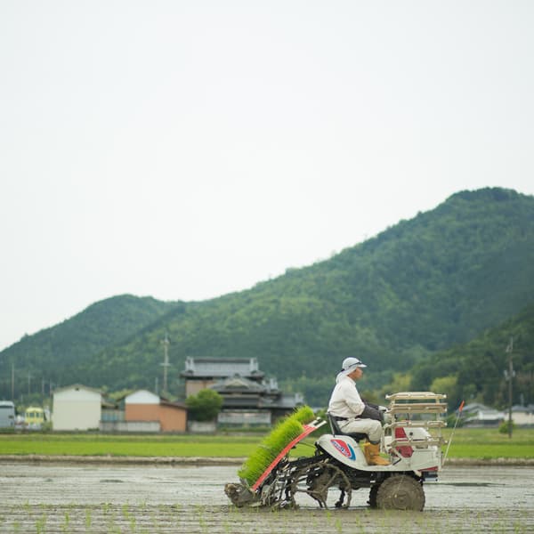 丹波篠山にじいろ農園プロフィール画像
