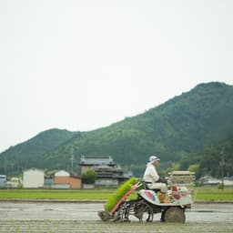 丹波篠山にじいろ農園プロフィール画像