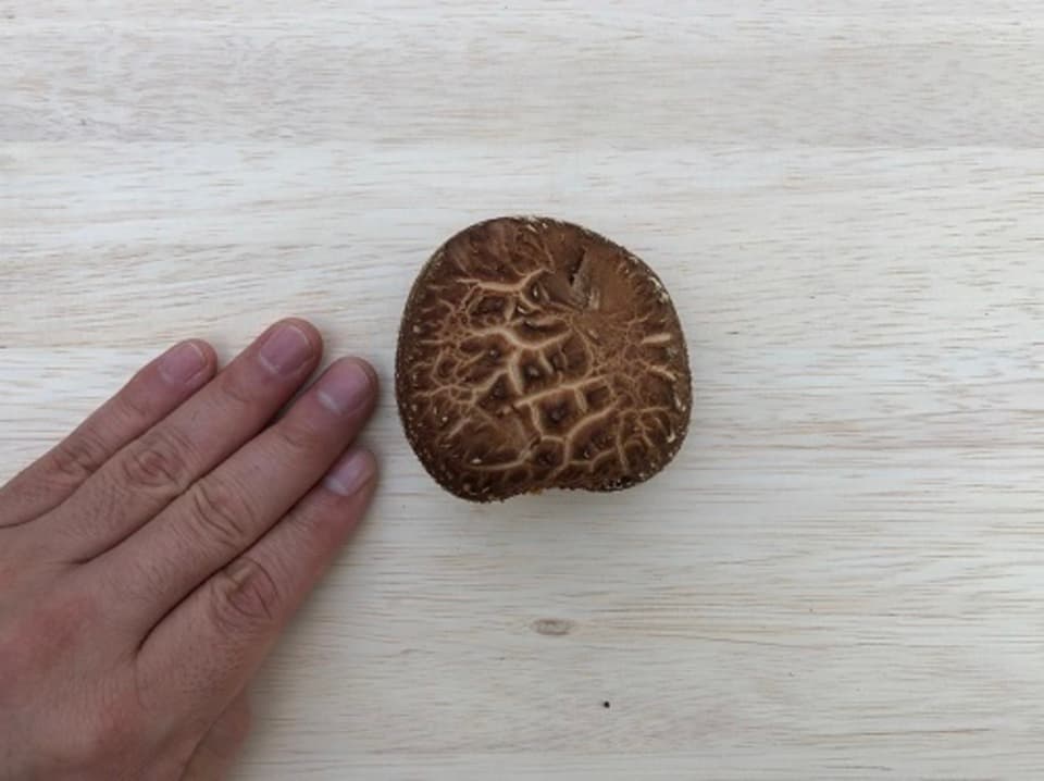 原木生椎茸