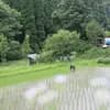 サムネイル 9