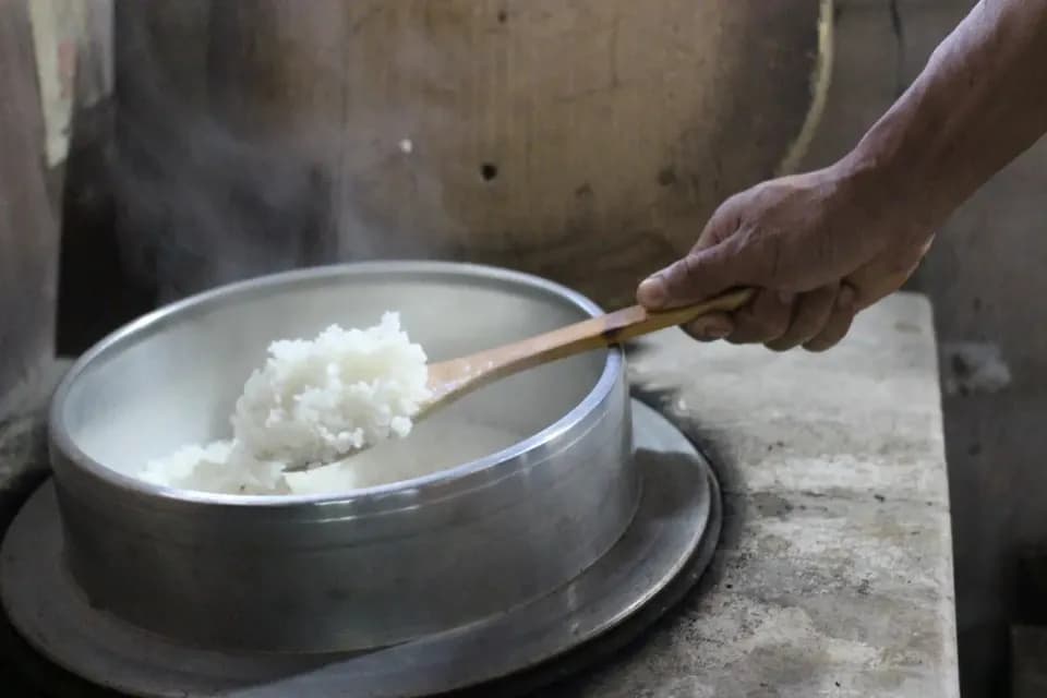 【令和8年度予約受付中】阿蘇立岩水源の湧水×天日干し自然栽培米＜熊本在来米 穂増＞農薬・化学肥料不使用