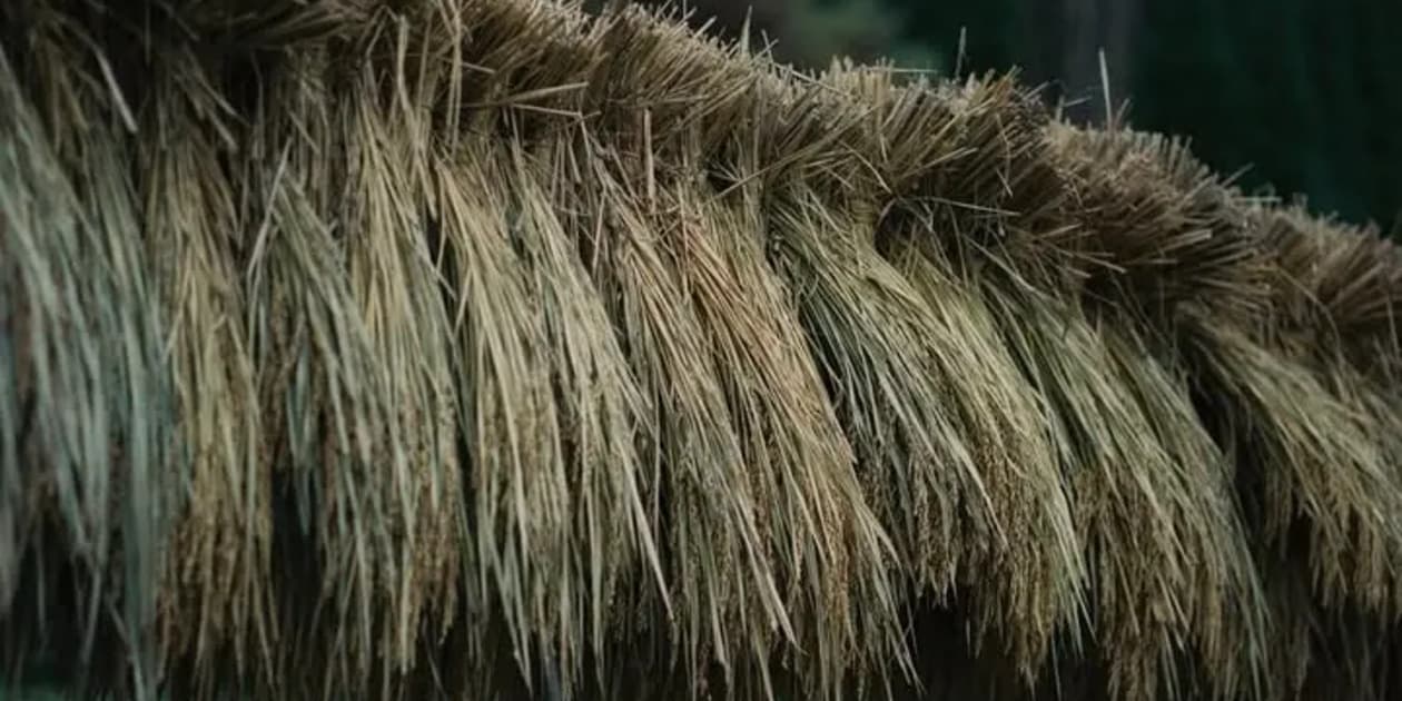 にわとり舎ロゴ