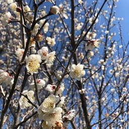 色とりどりの3月