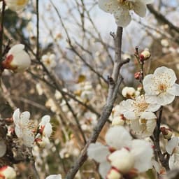 春の気配と農家になって丸6年。