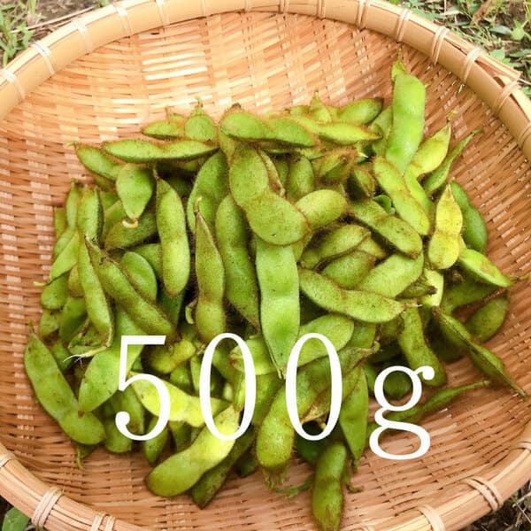 500g