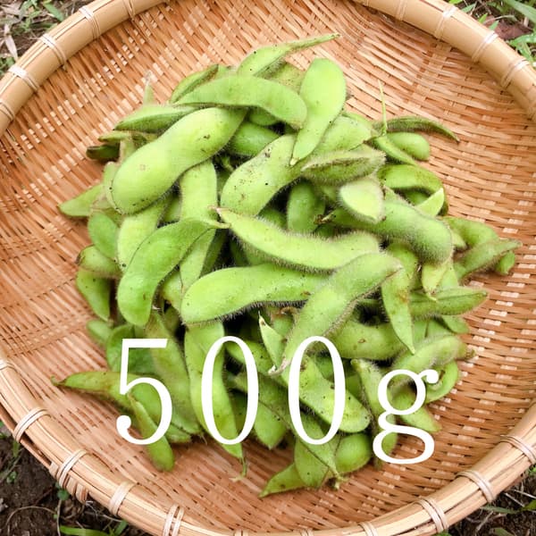 500g
