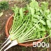 500g