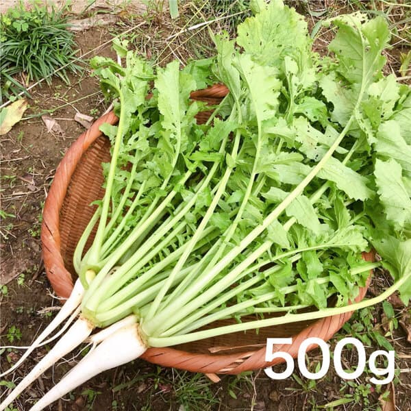 500g
