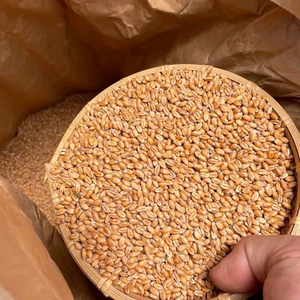 900g