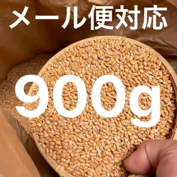 900g