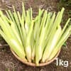 1kg
