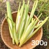 300g