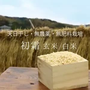 令和7年度産＜初霜＞白米/玄米【無農薬・無肥料・天日干し】の口コミ・レビュー(かにちゃんさん)