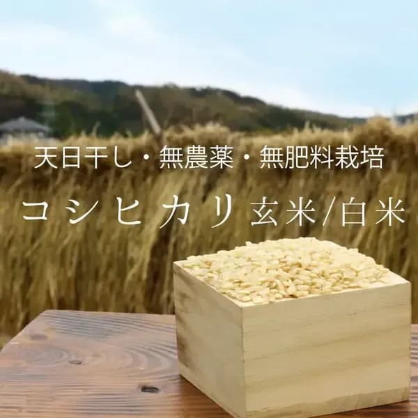 自然栽培【イセヒカリ】玄米28kg 新米 令和7年度産 無農薬無肥料の自然栽培米 令和7年度産＜イセヒカリ＞白米/玄米【無農薬・無肥料・天日干し】 の