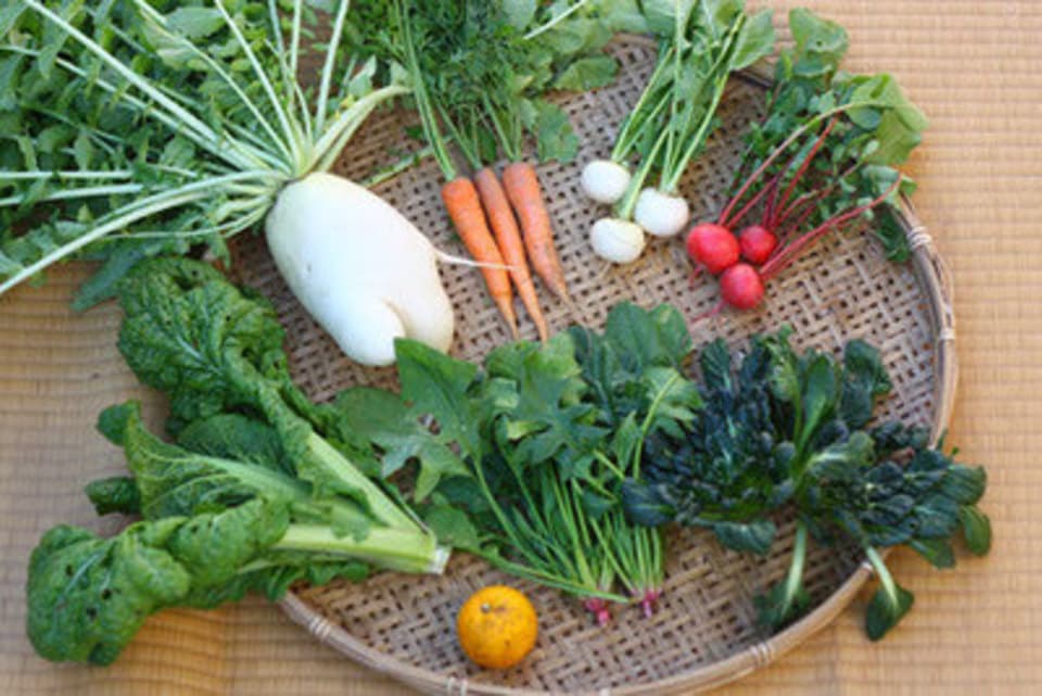 【無農薬・無肥料】生命力あふれる旬野菜セット