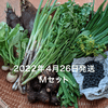サムネイル 5