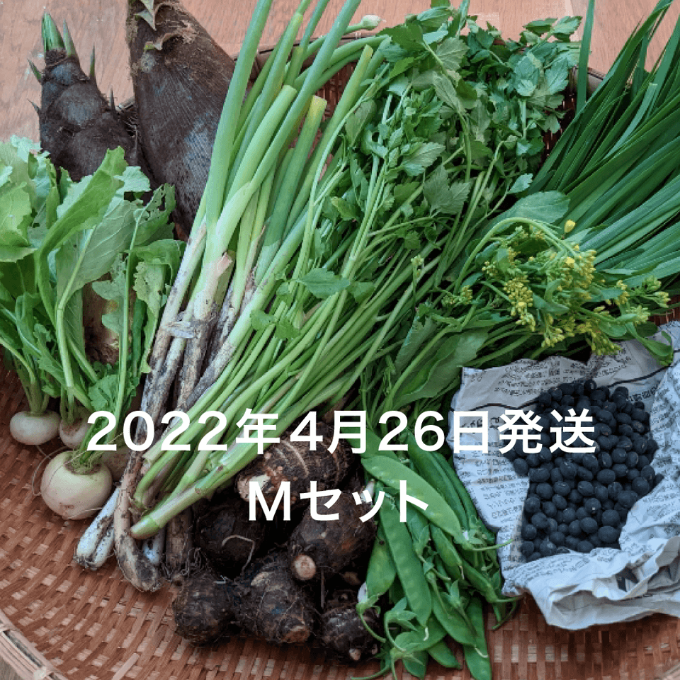《定期便》生命力あふれる旬野菜セット【無農薬・無肥料】