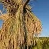 サムネイル 3