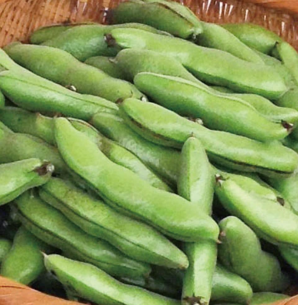 【5月限定！旬の味！無農薬・無肥料】そら豆