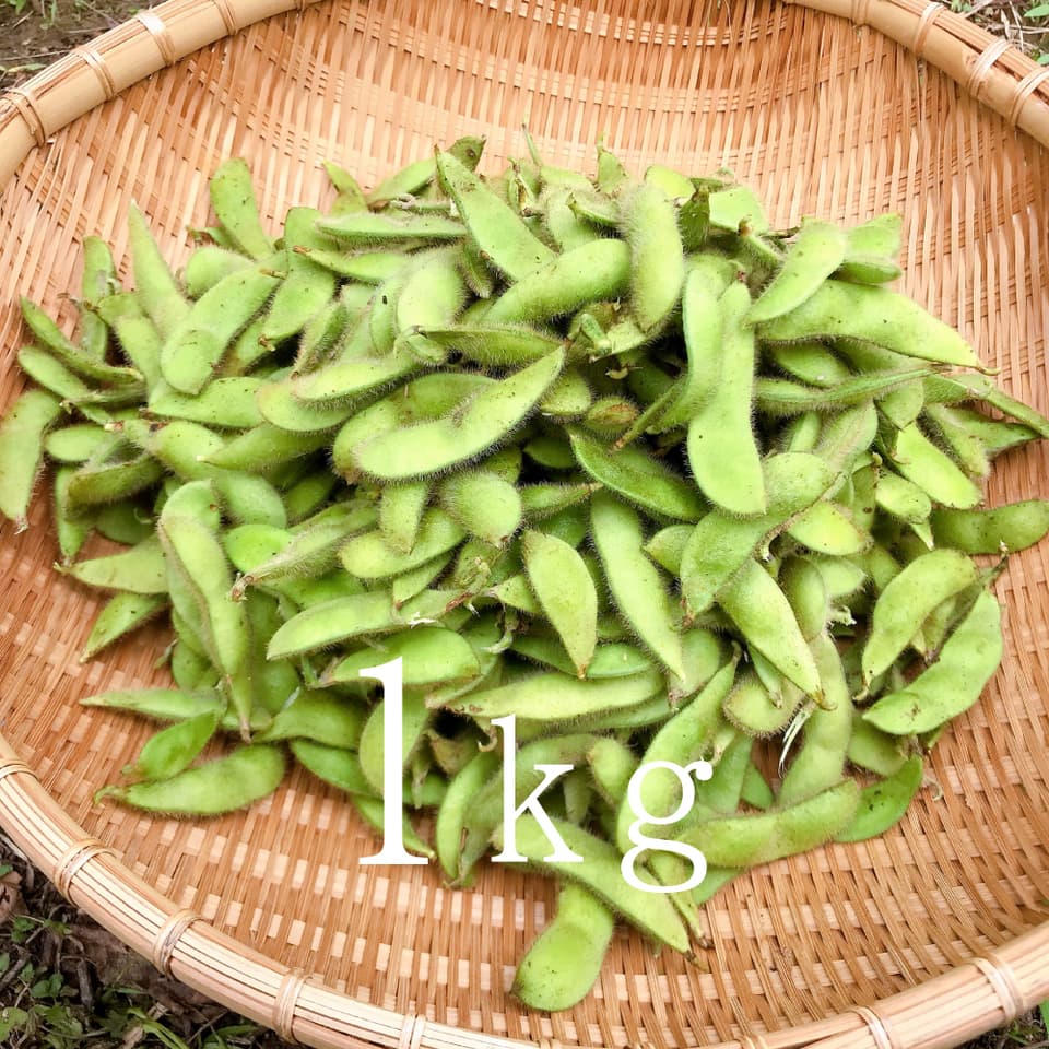 小糸の在来枝豆【無農薬・無肥料】