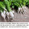 サムネイル 9