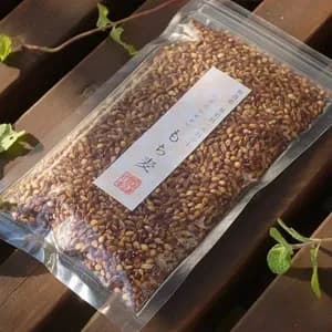 もち麦（ダイシモチ）【無農薬・無肥料・天日干し】の口コミ・レビュー(HDさん)