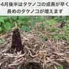 サムネイル 5