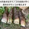 サムネイル 6