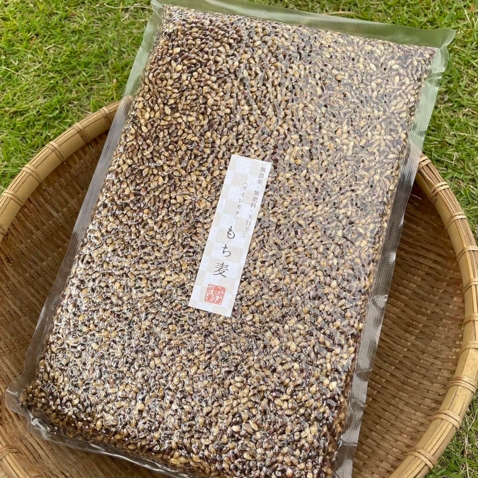 もち麦（ダイシモチ）お得用900g【無農薬・無肥料・天日干し】