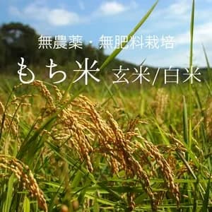 令和8年度産もち米＜マンゲツモチ＞玄米/白米【無農薬・無肥料】の口コミ・レビュー(lukeさん)