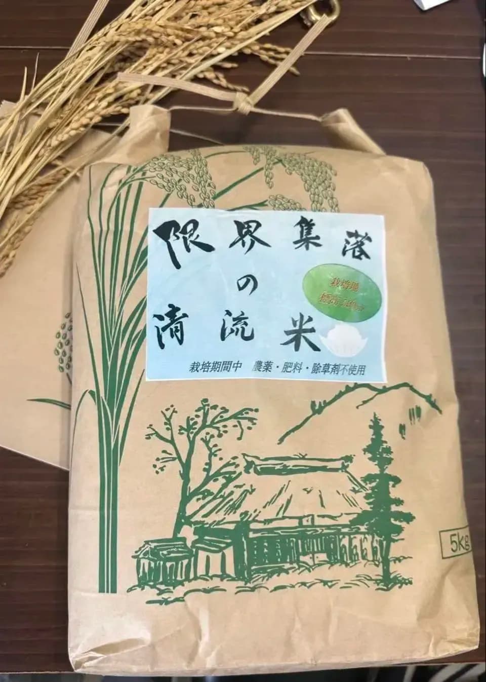 自然農＜令和7年度産コシヒカリ＞⭐︎限界集落の清流米⭐︎ 標高500m清らかな沢水の棚田米/農薬・化学肥料・除草剤 不使用