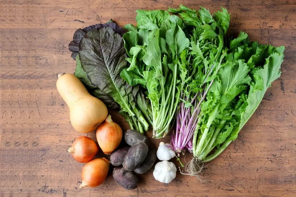 農薬・化学肥料不使用＜季節のおまかせ野菜セット＞大分県耶馬渓の自然の恵みで命をつなぐ固定種入り