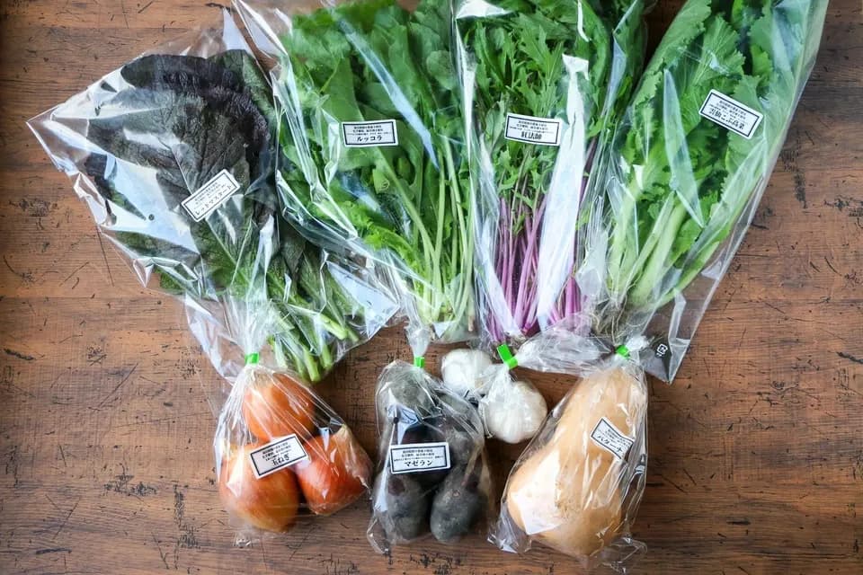 農薬・化学肥料不使用＜季節のおまかせ野菜セット＞大分県耶馬渓の自然の恵みで命をつなぐ固定種入り