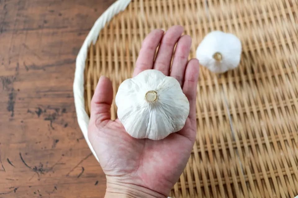 農薬・化学肥料不使用＜季節のおまかせ野菜セット＞大分県耶馬渓の自然の恵みで命をつなぐ固定種入り