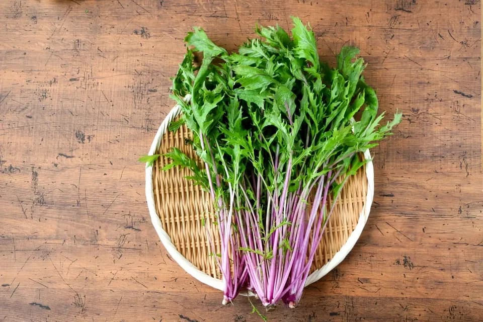 農薬・化学肥料不使用＜季節のおまかせ野菜セット＞大分県耶馬渓の自然の恵みで命をつなぐ固定種入り
