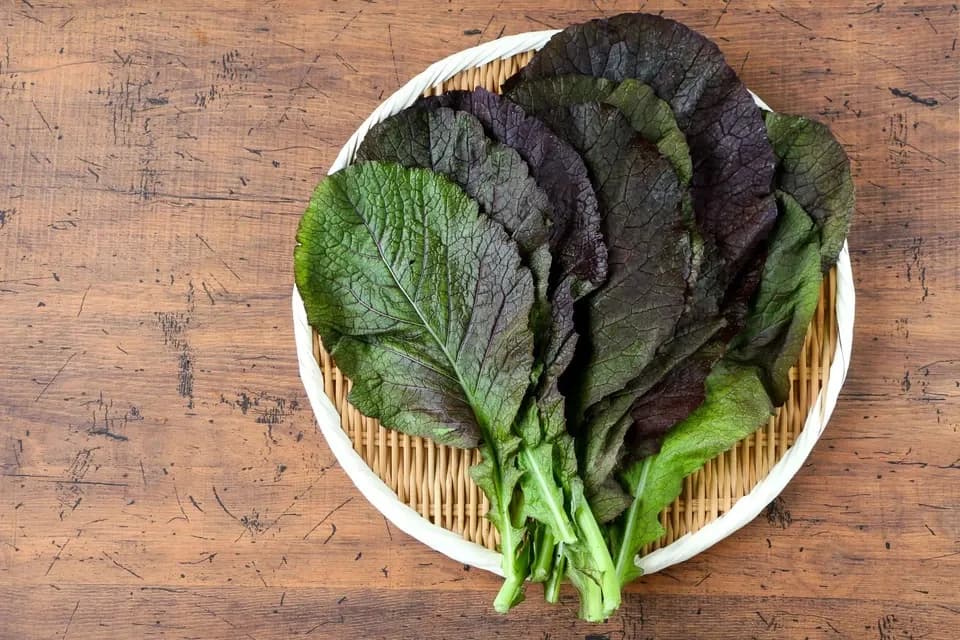 農薬・化学肥料不使用＜季節のおまかせ野菜セット＞大分県耶馬渓の自然の恵みで命をつなぐ固定種入り