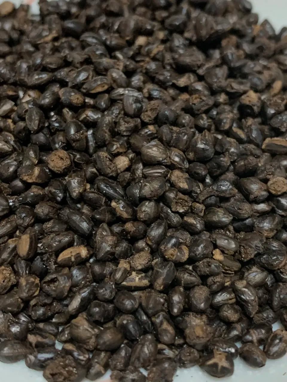 自然栽培イセヒカリの【玄米コーヒー】無農薬無肥料栽培のイセヒカリを土鍋で焙煎しました