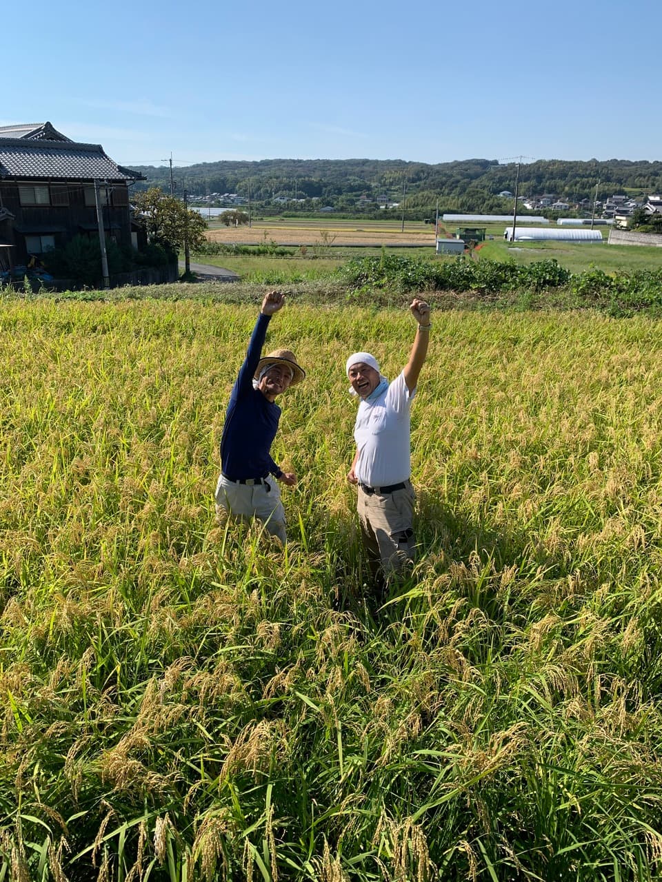 【いせひかり】令和7年度 無農薬無肥料の自然栽培米です。