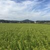 農業！たいこやについて