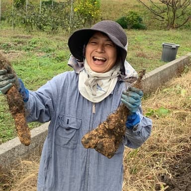 山芋