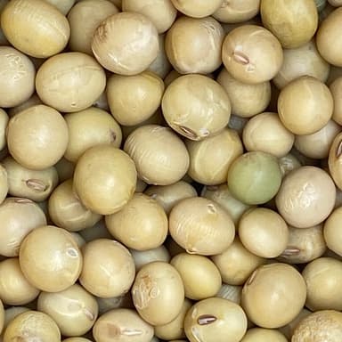 無農薬大豆で