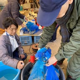 温湯消毒